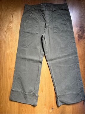 American Eagle Stovepipe Pants